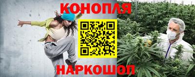 mdpv Будённовск
