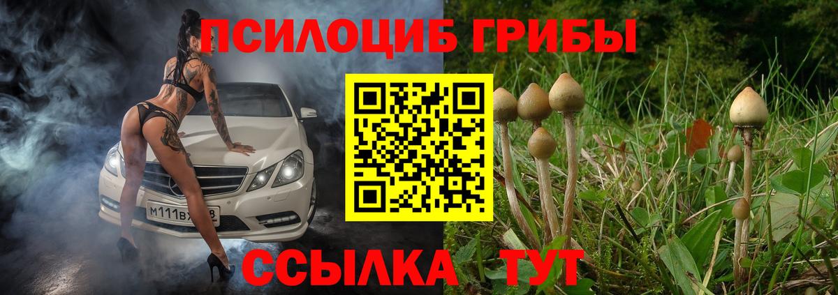 Новоалександровск  Галлюциногенные грибы GOLDEN TEACHER  Вход с VPN 