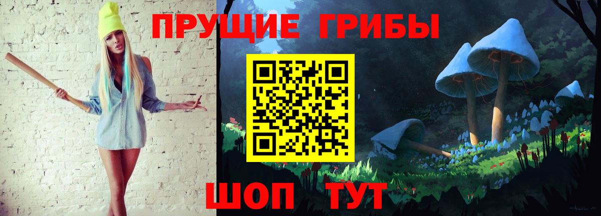 Галлюциногенные грибы Psilocybine cubensis Новоалександровск